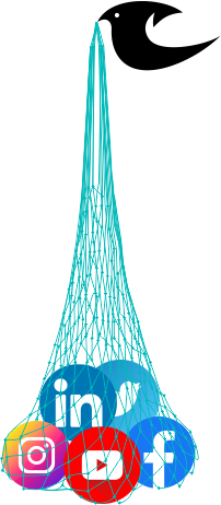 bait bird logo